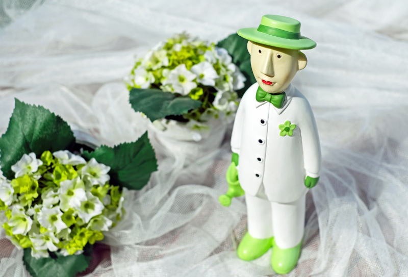 boutique-ANTIBES-min_man-person-flower-green-toy-fig-546529-pxhere.com